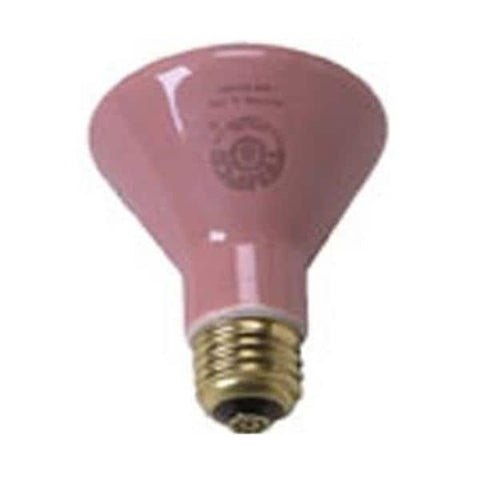 Brandt Industries Inc Bulb Ceramic Generator 250W Ea Each - 054