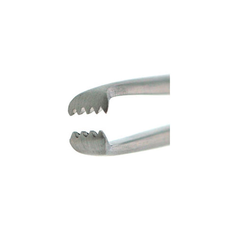 BR Surgical ALLIS Tissue Forcep