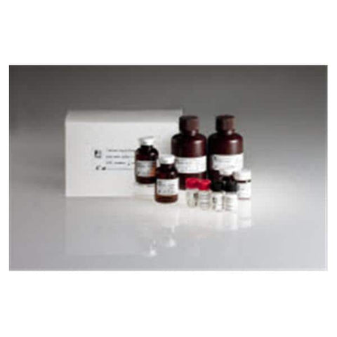 Ortho Diag Systems Inc AFFIRMAGEN RBC: Red Blood Cell Reagent 2x10mL Each - 719210