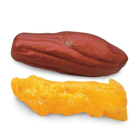 Nasco Healthcare, Inc Body Fat/Muscle Replica Anatomical Life/form Each - WA25814