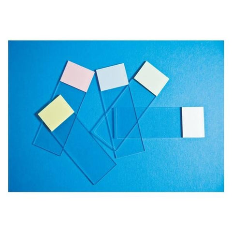 Fisher Scientific Co. SelectFrost Frosted Microscope Slide 3x1" White 144x10Pk - 12550003