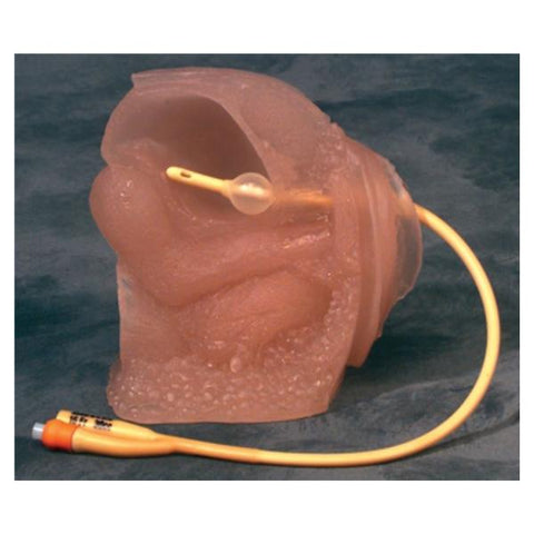 Wolters Kluwer Health Inc Urethra/Bladder Simulator Catheterization Female Adult Each - A26108