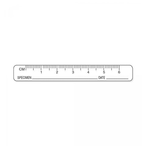 Precision Dynamics Corp. Ruler Label Specimen Date White 3x3/8" w/9 Slots 1000/Rl - LFWHR02