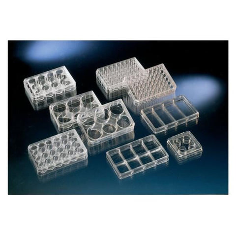 Nalge Cell Culture Multidish 4 Well 66x66mm 120/Ca - Nunc International - 176740
