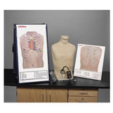 Nasco Healthcare, Inc Auscultation Station Training Life/form Deluxe Each - LF01200