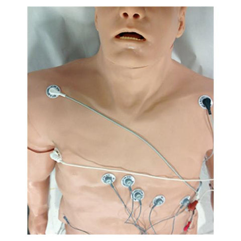 Nasco Healthcare, Inc Simulator Arrhythmia Physio 12-Lead Medium Overlay Each - 101-12-001M