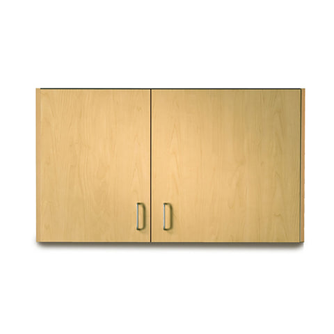 Clinton, Wall Cabinet, 2 Doors, Wide Right, 42" x 12" x 24"