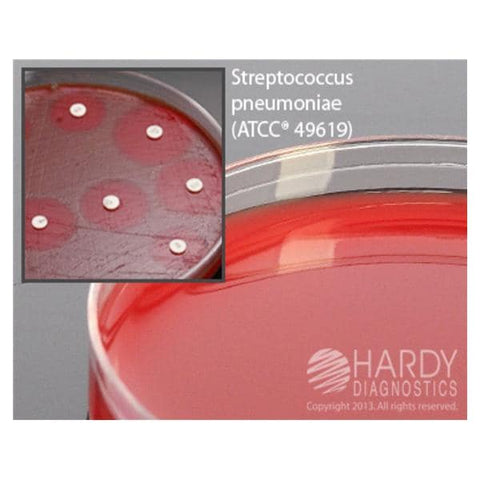 Hardy Diagnostics Culture Mueller-Hinton Agar Plate 10/Bx - A59