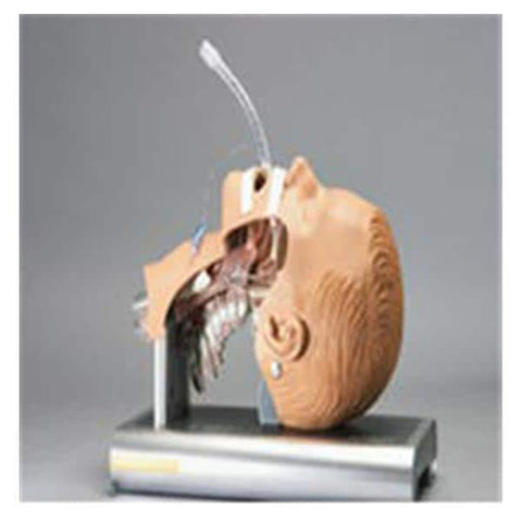 Ambu Inc Trainer Airway Management Each - 186002000