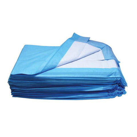 Dukal Corporation Underpad Basic Care Unisex Small 17x24" High White/Blue 100/Bg, 1 BG/CA - 81724