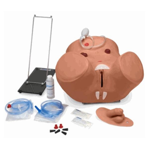 Nasco Healthcare, Inc Simulator Training Gaumard Male/Female Advanced Patient Care Catheterization Each - SB28919 M