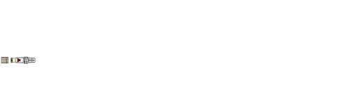 CODAN CODAN R-LOCK® Male/female luer-lock adapter with back check valve