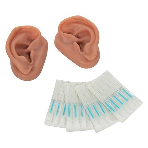 3B Scientific Acupuncture Ears, Set for 10 Students (Left and Right)