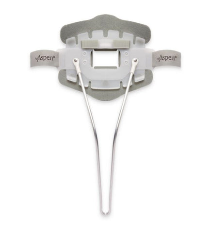 Aspen CTO Back Panel - Standard