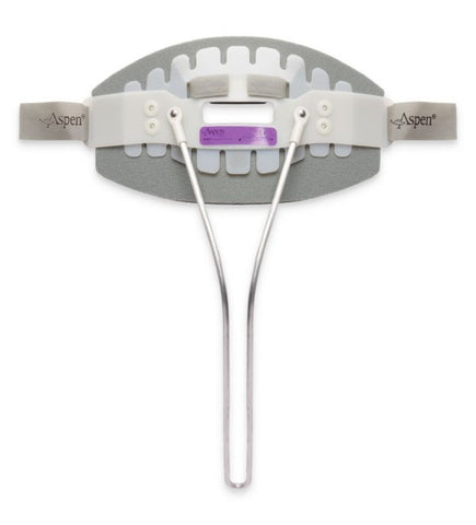 Aspen CTO Back Panel - Large