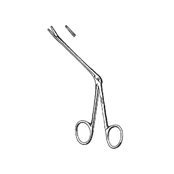 Miltex-Integra Miltex -Noyes Alligator Forcep 6-1/2" Stainless Steel Autoclavable Each KM 55-164