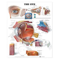 Wolters Kluwer Health Inc Eye Anatomical Chart Ea - 9781587791260