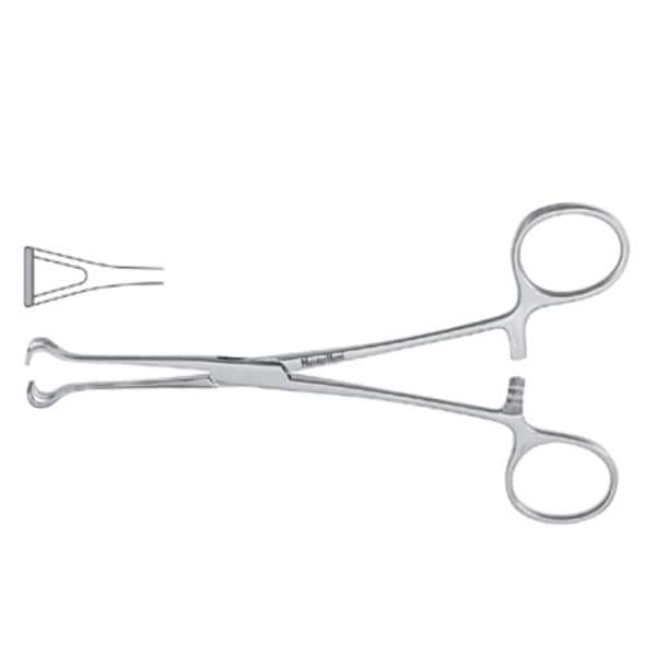 Miltex-Integra Miltex -Meister-Hand Babcock Tissue Forcep Straight 8-1/4" Stainless Steel Autoclavable Each MH16-46