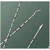 Bard Medical Division Urethral Catheter Open Tip Polyurethane 5Fr - 135005