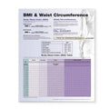Wolters Kluwer Health Inc BMI & Waist Circumference 20x26" Educational Chart Ea - 9780781772273
