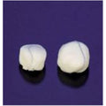 Deroyal Industries Inc Cotton Stick Sponge 1-1/2" Sterile Round X-Large X-Ray Detectable LF  - 30-024
