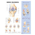 Wolters Kluwer Health Inc Knee Injuries 20x26" Anatomical Chart Ea - 9781587797576