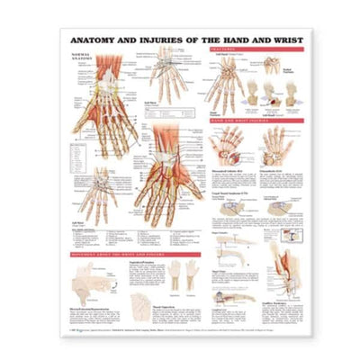 Wolters Kluwer Health Inc Anatomy and Injuries of the Hand and Wrist 20x26" Anatomical Chart Ea - 9781587799143