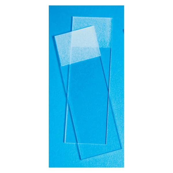 Fisher Scientific Co. Fisherbrand Frosted Microscope Slide 3x1" White 144/Pack - 22034486