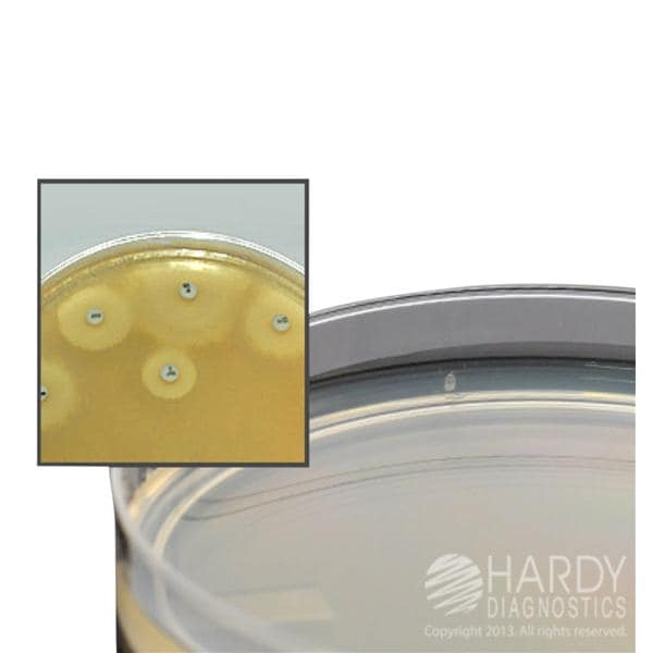 Hardy Diagnostics Culture Mueller-Hinton Agar 10/Pack - G45