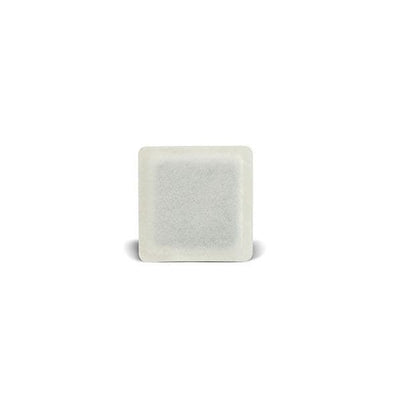 Convatec US CarboFLEx Plastic Odor Control Dressing 4x4" Sterile Square NAdhs Trans Abs LF  - 403202