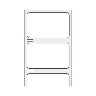 Shamrock Scientific Spec Label White Dymo 1-1/4x2-1/4" 1000/Rl - THERM-1791R-DO-1