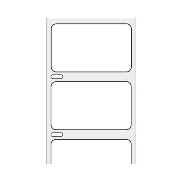 Shamrock Scientific Spec Label White Dymo 1-1/4x2-1/4" 1000/Rl - THERM-1791R-DO-1