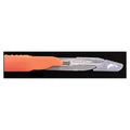 Southmedic Inc. -Scalpel SPSS #11 Safety Sterile Disposable 10x10/Case 73-9011