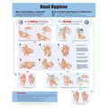 Wolters Kluwer Health Inc Hand Hygiene 20x26" Anatomical Chart Ea  - 9781451193381