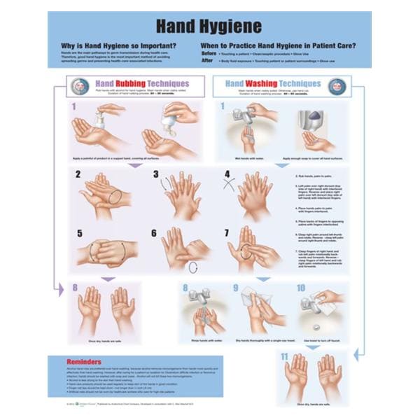 Wolters Kluwer Health Inc Hand Hygiene 20x26" Anatomical Chart Ea  - 9781451193381
