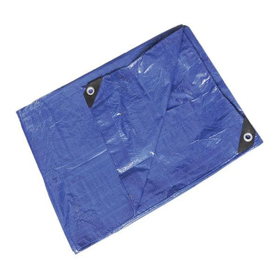 Grainger 8x10" Standard Tarp - 22JC26