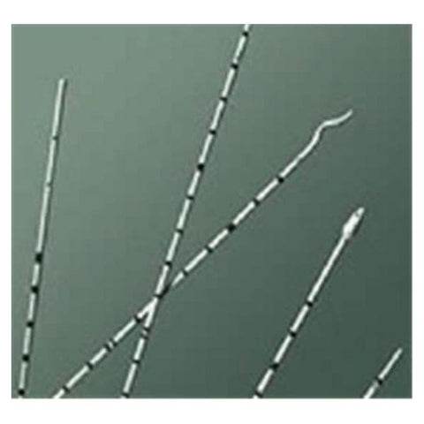 Bard Medical Division Urethral Catheter Open Tip Polyurethane 6Fr  — 134106