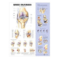 Wolters Kluwer Health Inc Chart Anatomical Knee Injuries Ea - 9781587797576