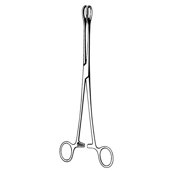 Sklar Instruments -Econo Foerster Sponge Abraders Curved 9.5" Stainless Steel Non-Sterile Each, 12 EA/BX 21-586