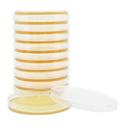Hardy Diagnostics Tryptic Soy Agar Contact Plate With Lecithin and Tween 80 27mL 15x100mm 10/Pack - W41