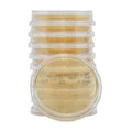 Hardy Diagnostics Tryptic Soy Agar Contact Plate With Lecithin and Tween 80 15x65mm 10/Pack - P34