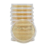 Hardy Diagnostics Tryptic Soy Agar Contact Plate With Lecithin and Tween 80 15x65mm 10/Pack - P34