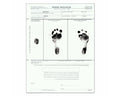 Newborn Identification Form, 50 per Pad | 2010-00-PDA