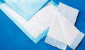 North Coast Economy Disposable Under Pads ( Pack - 150 )