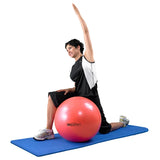 North Coast TheraBand® Pro Series Exercise Ball