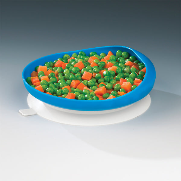North Coast Scooper Plate with Suction Cup Base