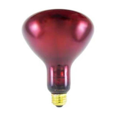 Brandt Industries Inc Bulb INF. Red Ruby 175watt 175watt ea Each - 058