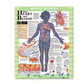 Wolters Kluwer Health Inc Blueprint for Health Your Heart and Blood 20x26" Anatomical Chart EA - 9781587797453