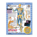 Wolters Kluwer Health Inc Blueprint for Health Your Skeleton 20x26" Anatomical Chart EA - 9781587797354