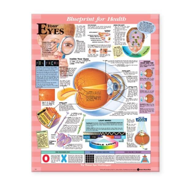 Wolters Kluwer Health Inc Blueprint for Health Your Eyes 20x26" Anatomical Chart EA - 9781587797491